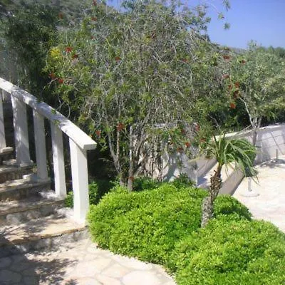 Apartment Irena